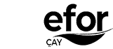 Efor Çay